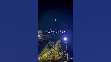 والله يريد ان يتوب عليكم | طارق محمد | تلاوه مريحه | راحه نفسيه