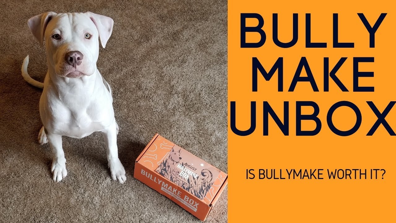 1 Month Subscription - Bullymake Box - A Dog Subscription Box For