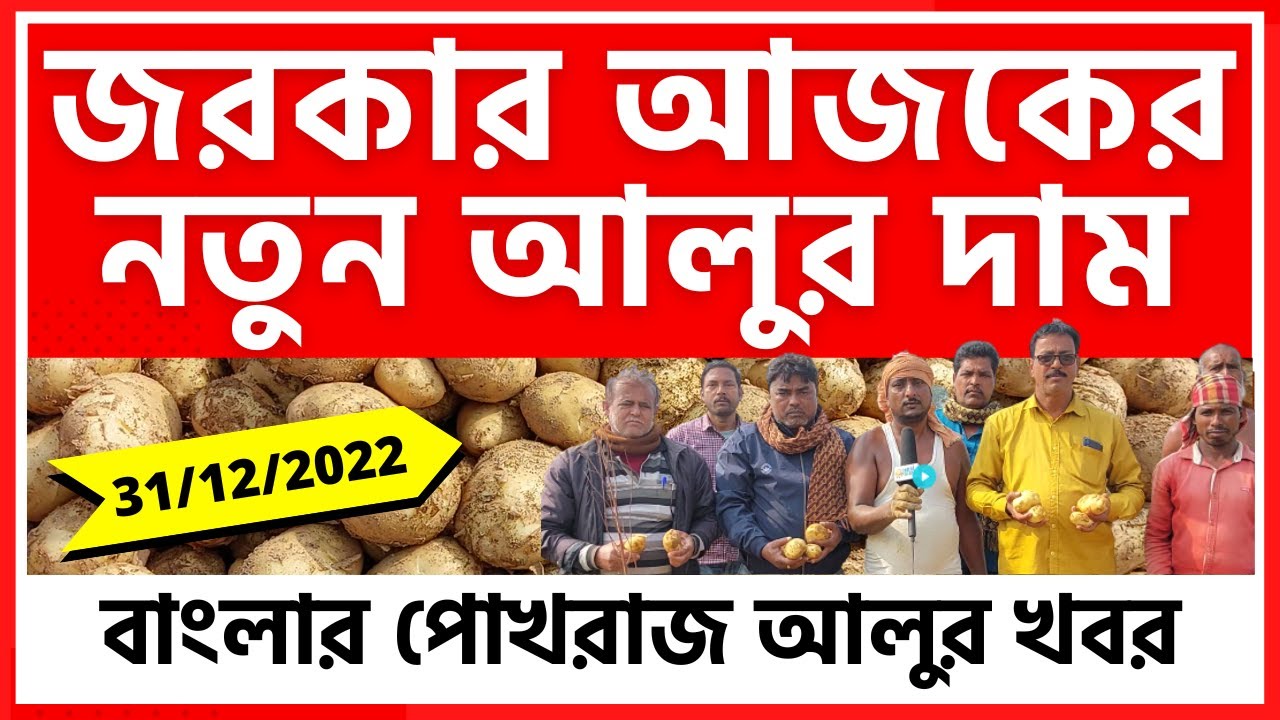 31/12/2022 জরকার আজকের নতুন আলুর দাম I Today's New Potato Price in