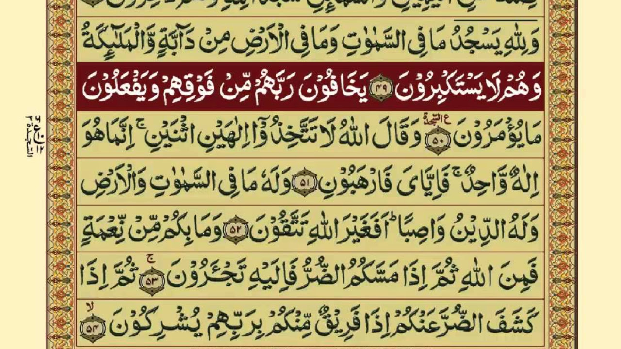 Quran Para1430 Urdu Translation