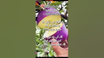 #Surat No 2 : سورة البقرة - Ayat No 244
