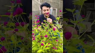 Download Lagu Belahan jiwaku_ Adepra Zocallo _ iful(official music video) MP3