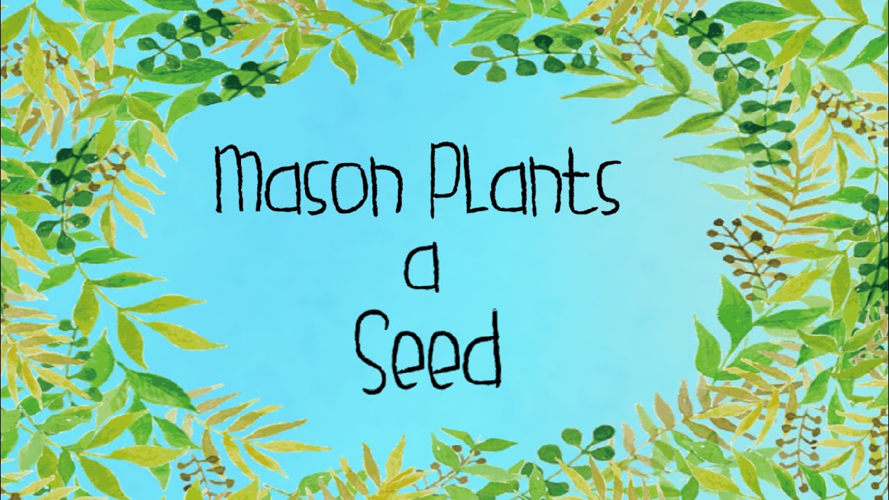 How a Seed Grows Mason Plants a Seed Read Aloud Story for Children