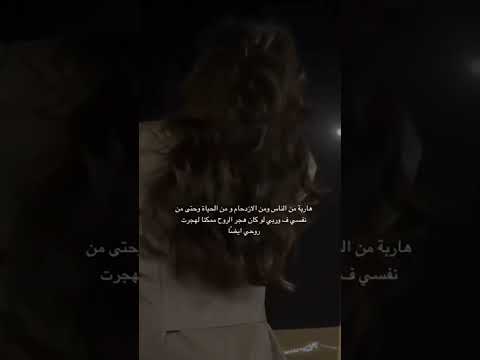 ٢٨ يناير ٢٠٢٤