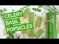 Salt & Celery Popsicle Recipe