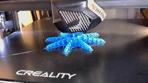 My First OctoPrint Timelapse