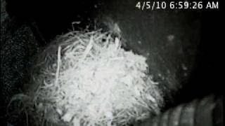 MN-warner-eaph-20100405.mp4