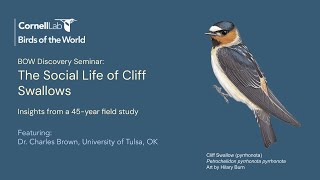 The Social Life of Cliff Swallows: Insights from a 45-year Field Study with Dr. Charles Brown