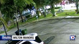 Video shows theft of beloved Wilton Manors artwork