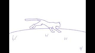 running cycle of a cat