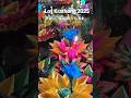 【タイ🇹🇭バンコク】絶景ロイクラトン祭り🪷2025✨まるで天空の城！夜空に煌めく「ワットサケット」の幻想的なお祭り🏮November 10, 2025 #バンコク #ロイクラトン祭り #タイ旅行