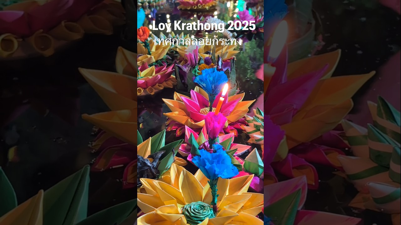 【タイ🇹🇭バンコク】絶景ロイクラトン祭り🪷2025✨まるで天空の城！夜空に煌めく「ワットサケット」の幻想的なお祭り🏮November 10, 2025 #バンコク #ロイクラトン祭り #タイ旅行