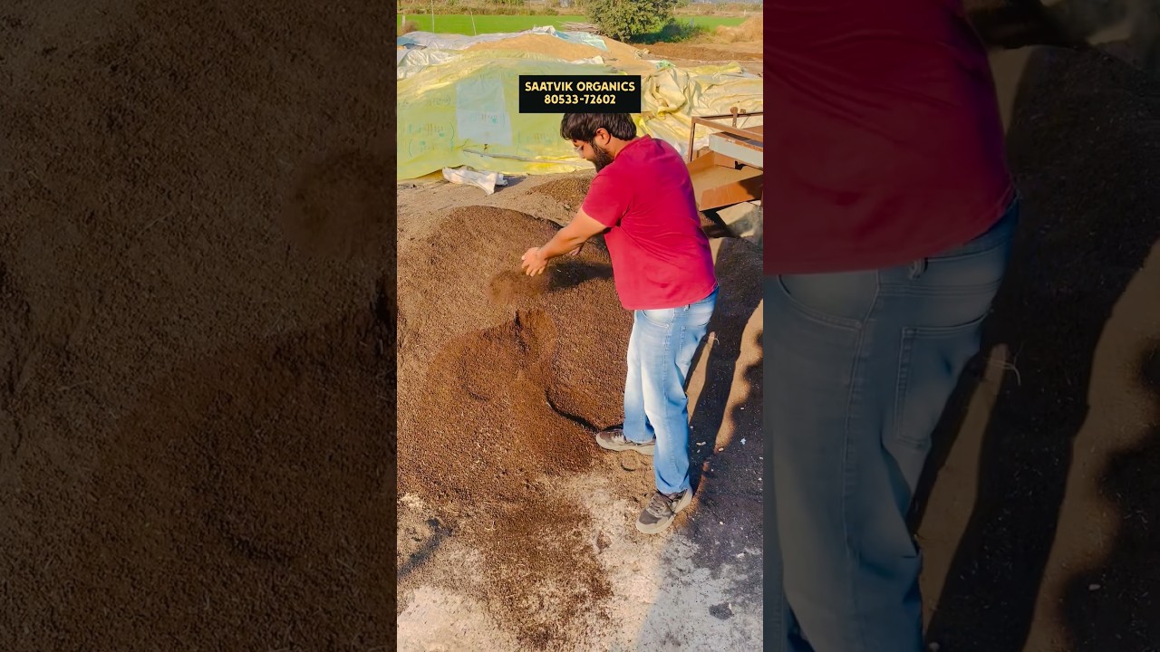 For Best quality Vermicompost /eiseniafetida earthworm contact Saatvik Organics 80533-72602 