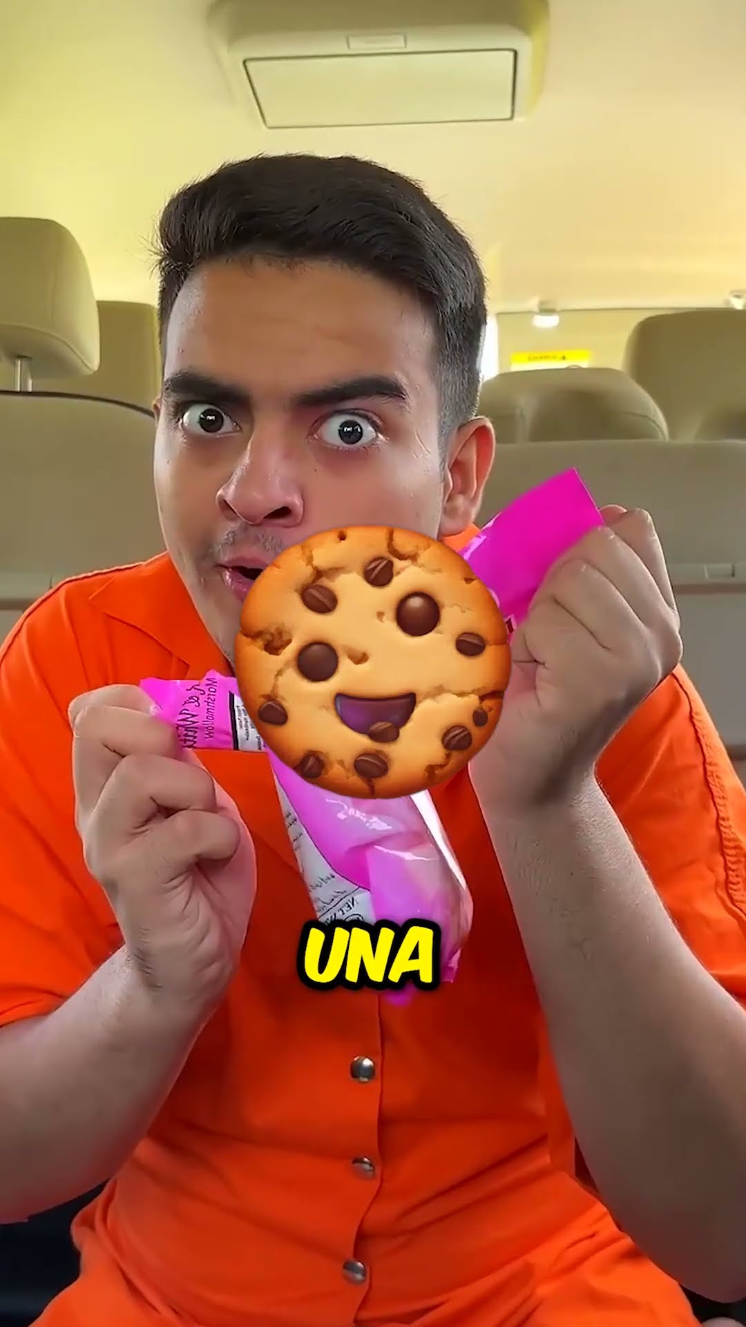 Él come su pastel de chocolate ?