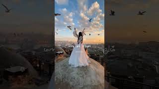 Hyder Kaala Veeran Thaan