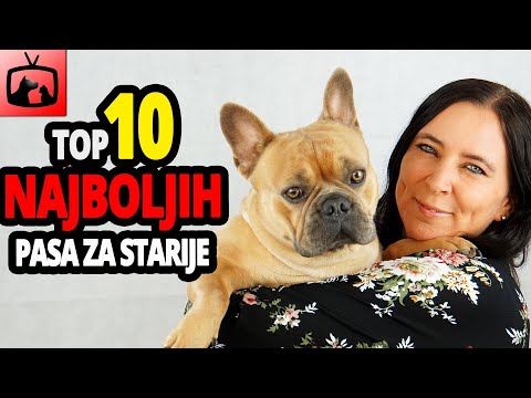 Video: Top 10 najboljih pasa pasa za vodu