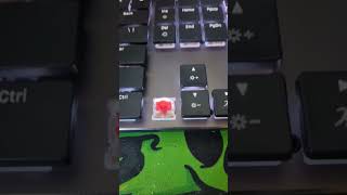 Couso CODi CX40 Triple Mode keyboard with Huano low profile red switch keyboard sound test