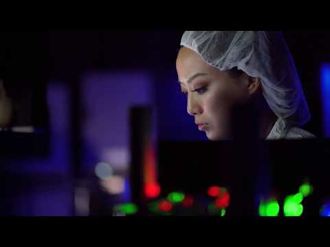 Eyes On Luminit