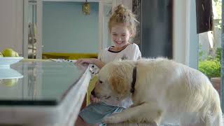 Carrier Brand Essence Final