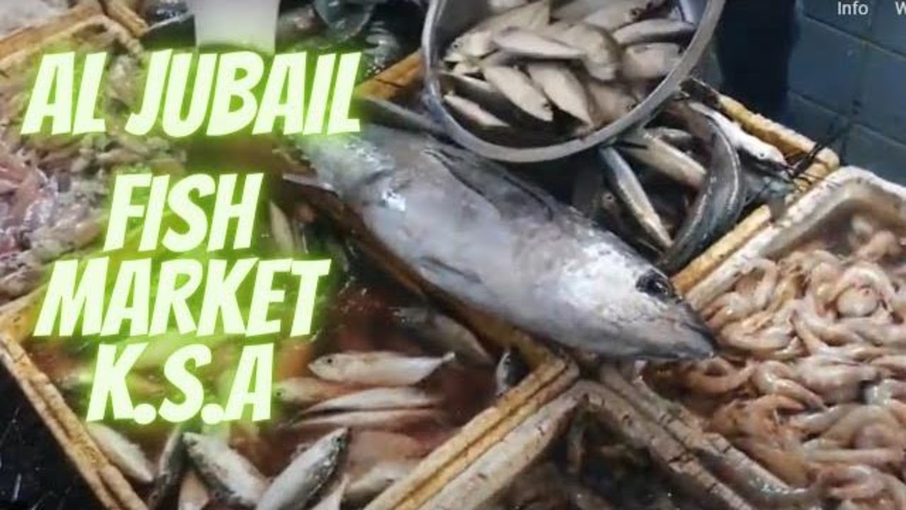 AL JUBAIL FISH MARKET K.S.A YouTube