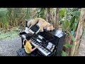 Emilie plays la57 x4 by alessandra celletti with sharky the dog