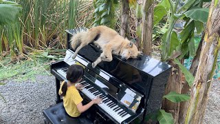 Emilie Plays &quot;LA57 (x4) by Alessandra Celletti with Sharky the Dog