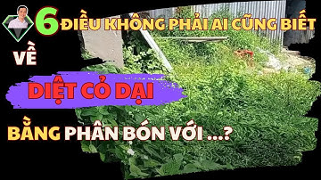6 Điều Cần Biết Về Diệt Trừ Cỏ Dại Bằng Phân Bón Với…? | Lương Hồng Sơn