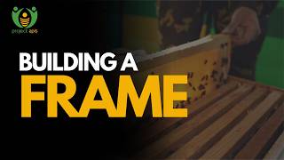 How to Build a National Hive Super Frame, Step by Step