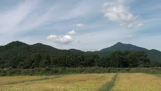 BDMV Clip56 SLやまぐち号復活記念 C571+C56160 新山口行きDC 徳佐駅到着後発車 2011.9.25