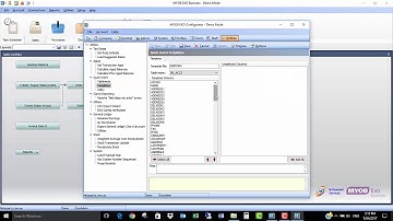 Overview of How Quick Insert How to Adjust Anything works in MYOB Exo