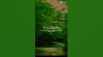 سوره العنكبوت