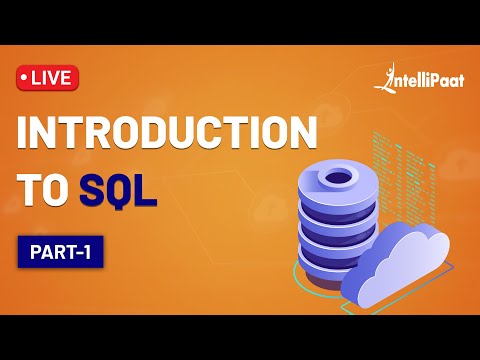 SQL Basics for
