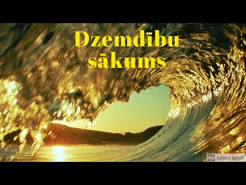 Video: Vai mazuļi izdalās dzemdē?