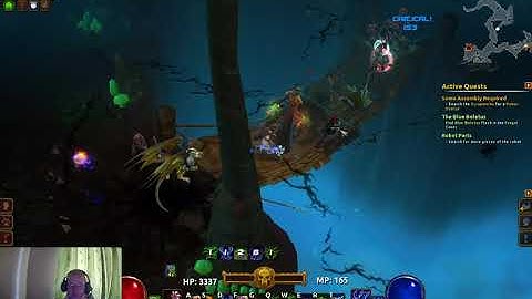 Torchlight 2 Necromancer play