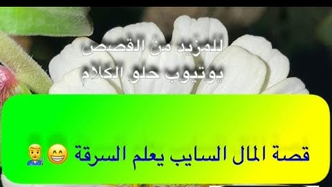 633- قصة المال السايب يعلم السرقة 😁👨‍🔧