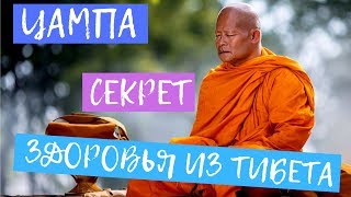 Цампа - Реальный Секрет Долголетия Тибетских Монахов. Тибетская каша польза и рецепты Цампа - Реальный Секрет Долголетия Тибетских Монахов. Тибетская каша польза и рецепты
