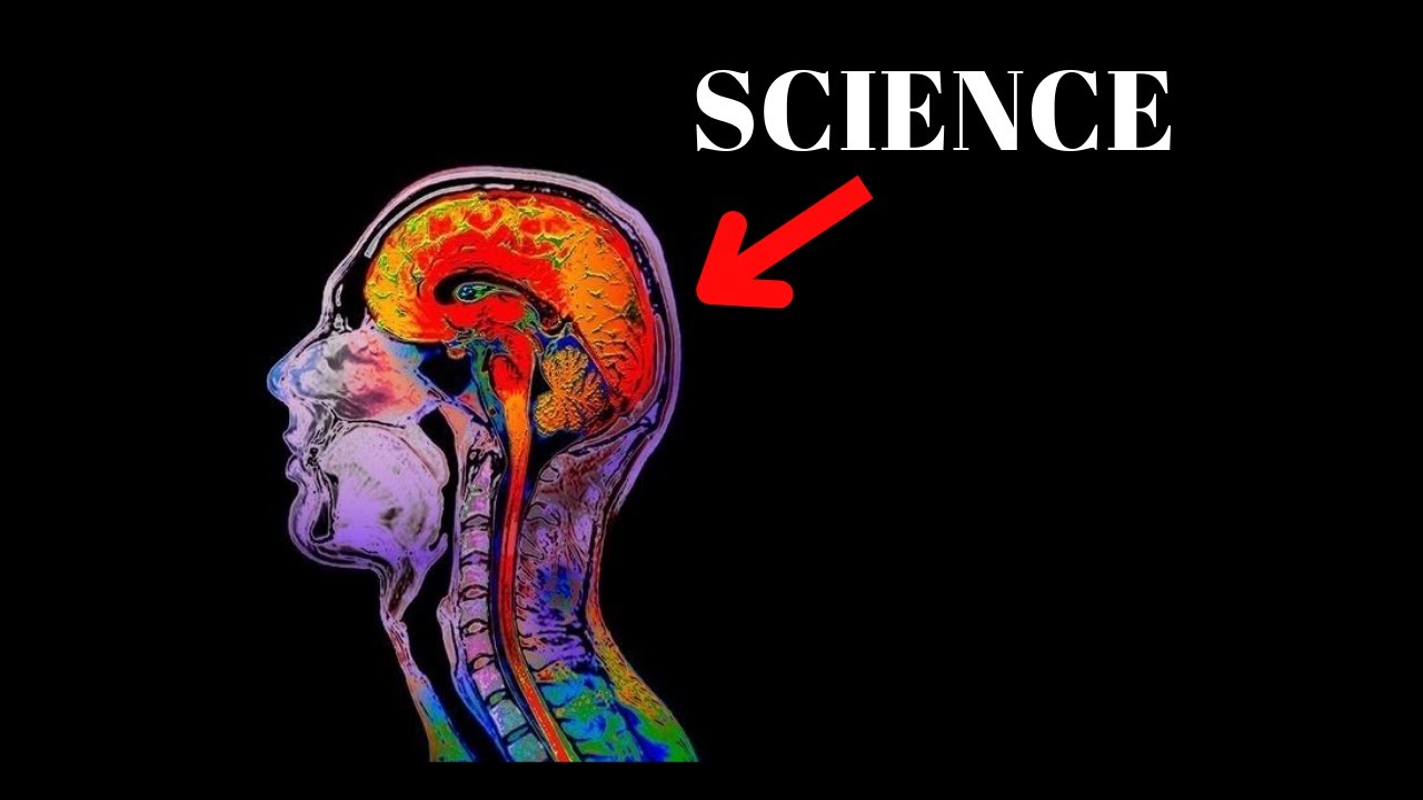 How to Transform Your Life (Master The Law of Attraction) - YouTube