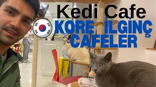 Kedi Cafe'ye gittim. Kore'de ilginç Cafeler. Kore'de Son Günüm.