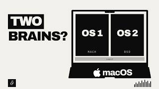 How macOS Actually Works
