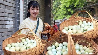 I went to the city to set up a stall to sell agricultural products  more than 300 eggs and 6 big co