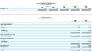 AmeriGuard Security Revenue Halved: My Take on the 10-Q