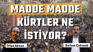 Maddeler Halinde Kürtlerin Hukuki Talepleri Neler?