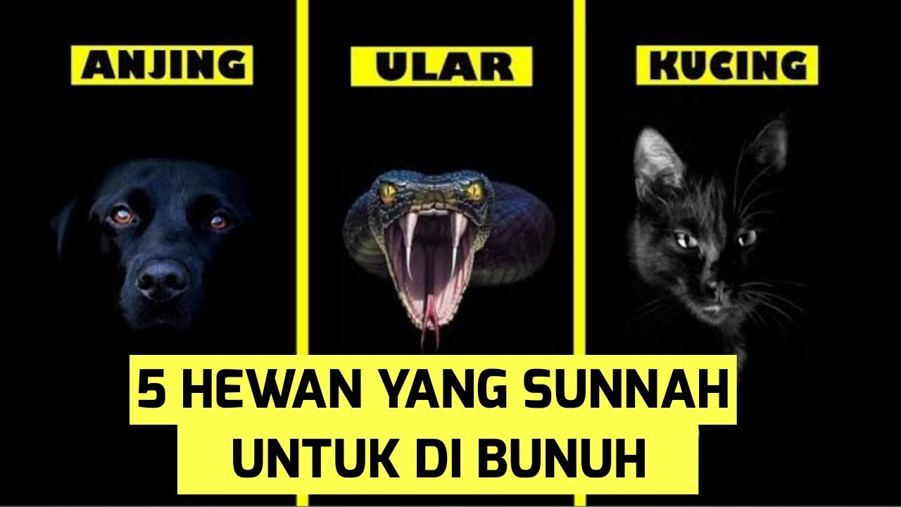 5 Hewan  Yang  Disunnahkan Untuk Dibunuh Meski di Tanah 