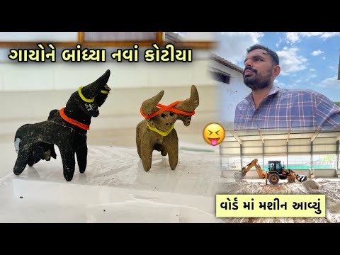 નાવયાણી થી લાવેલી અતિ ભલી ગાયો ના આજે કોટીયા😀| ICU વોર્ડ માં રેતી પાથરવા JCB આવ્યું 🔥