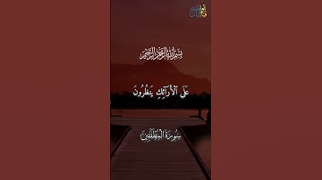 ان الابرار لفي نعيم على الارائك ينظرون #بلال_دربالي #تلاوات_خاشعة #القرآن_الكريم #راحة_نفسية
