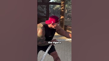 Tug of War With a Tiger