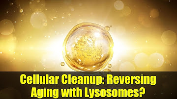 Cellular Cleanup: Reversing Aging with Lysosomes? | Progeria Breakthrough