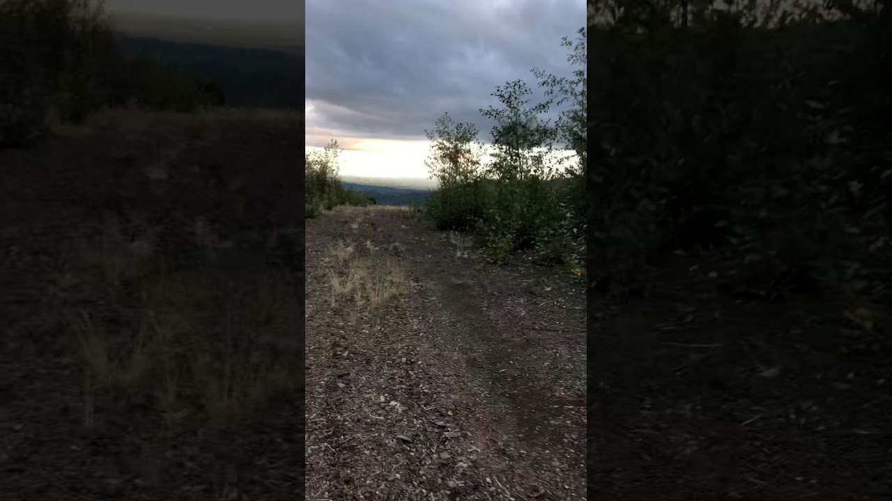 Quad Riding View By Steel Bridge Shelton Wa YouTube