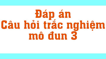 Đáp án câu hỏi trắc nghiệm mô đun 3