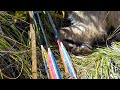 TAHR - Traditional Archery Success - 2020 Ep. 4, Part 1